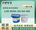 Һ/Һ轺Elkem LSR9050-50/60-MS