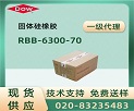 ϵRBB-6300-70Base