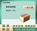 ߿ELASTOSIL® RT 624 4S AB ˫ȹԹ˵